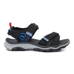 Black Coronet Blue