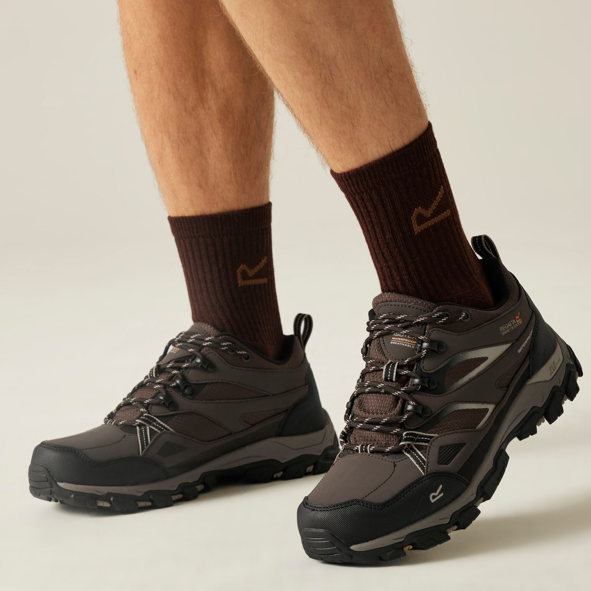 Regatta Buty męskie trekkingowe niskie z membraną Holcombe Low III Multikolor