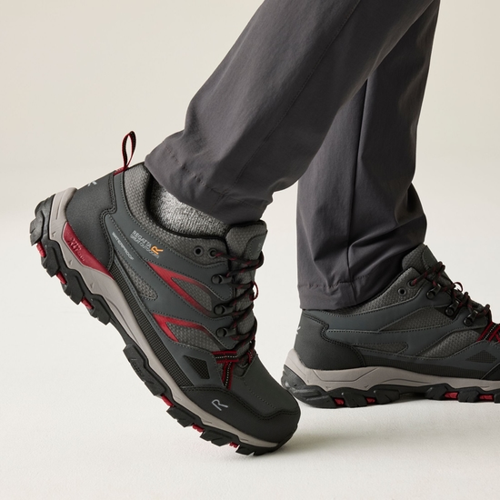 Holcombe Low III Wanderhalbschuh für Herren Grau