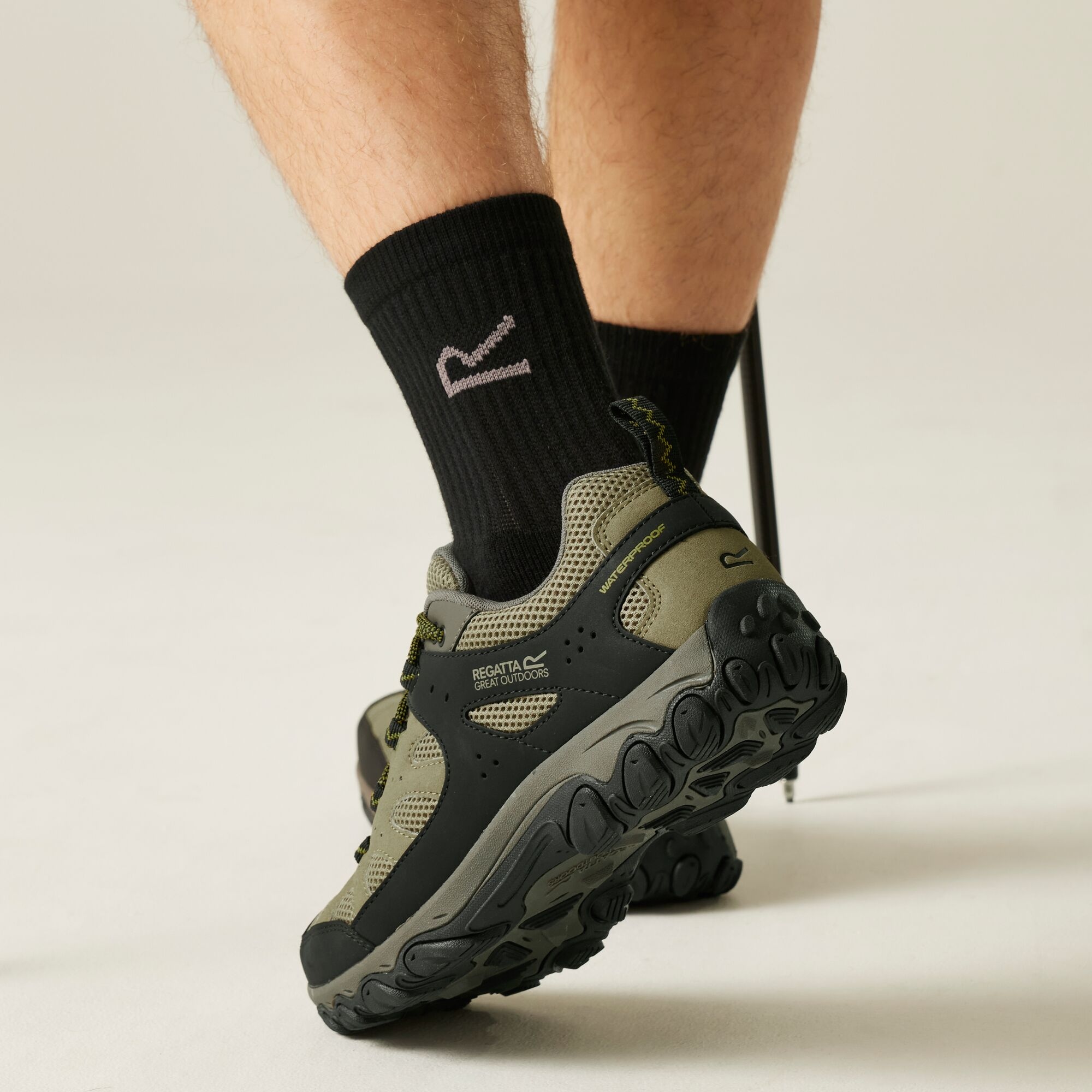 Regatta   Buty męskie trekkingowe niskie z membraną Edgepoint IV Brązowy