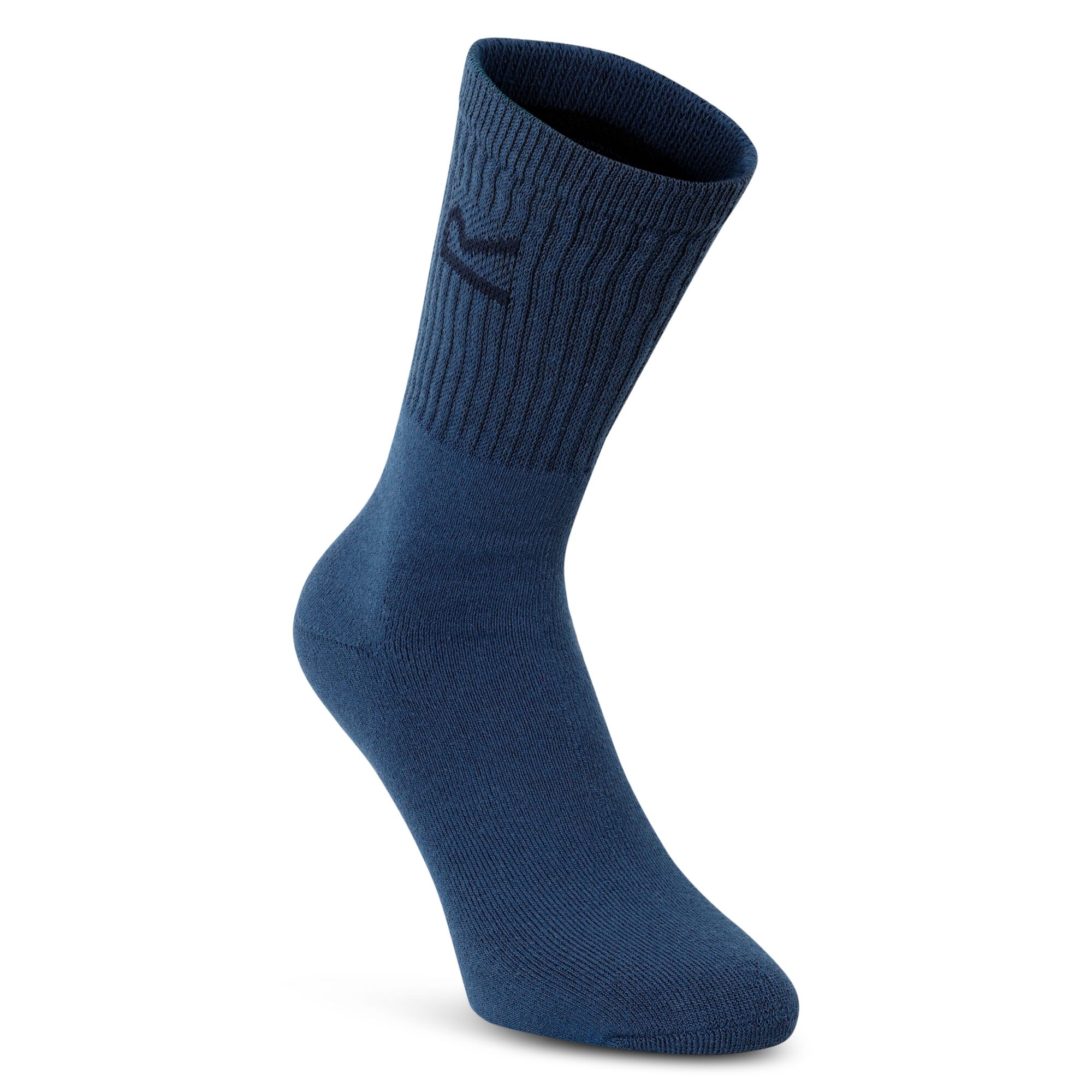 Regatta Skarpety męskie Sock in A Box 3-pak Niebieski
