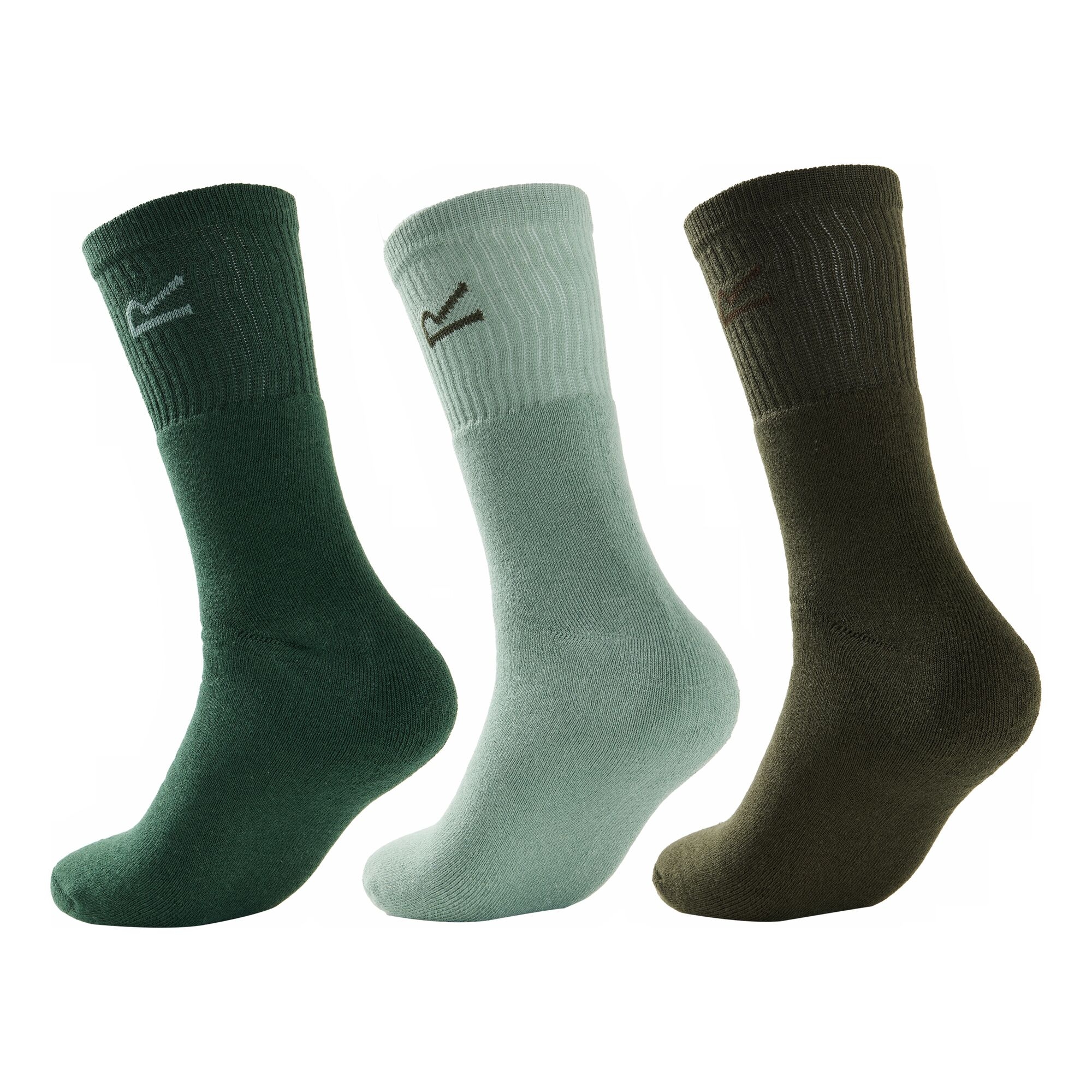 Regatta   Skarpety męskie Sock in A Box 3-pak Zielony