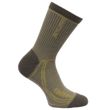 Men's 2 Season Coolmax Trek & Trail Socks Dusty Olive Dark Spruce