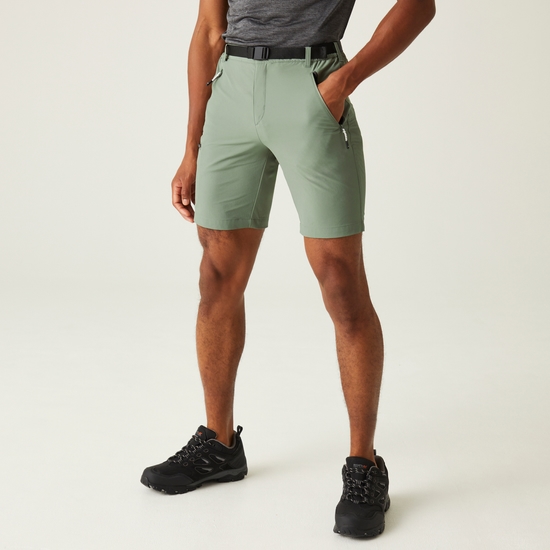 Men's Xert III Stretch Walking Shorts Agave Green
