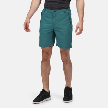 Men's Shorts | Men's Cargo Shorts | Regatta