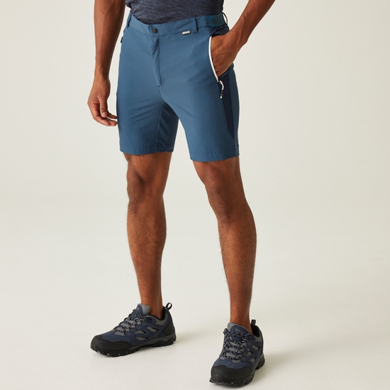 Mountain II Homme Short de marche Bleu