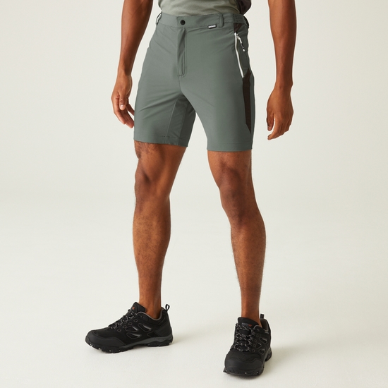 Men's Mountain II Walking Shorts Agave Green Ash