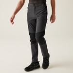 Ash Black