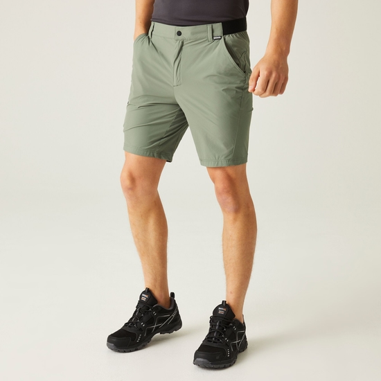 Travel Light verstaubare Shorts für Herren Grün