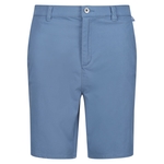 Coronet Blue