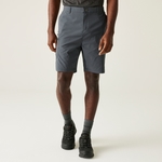 Seal Grey