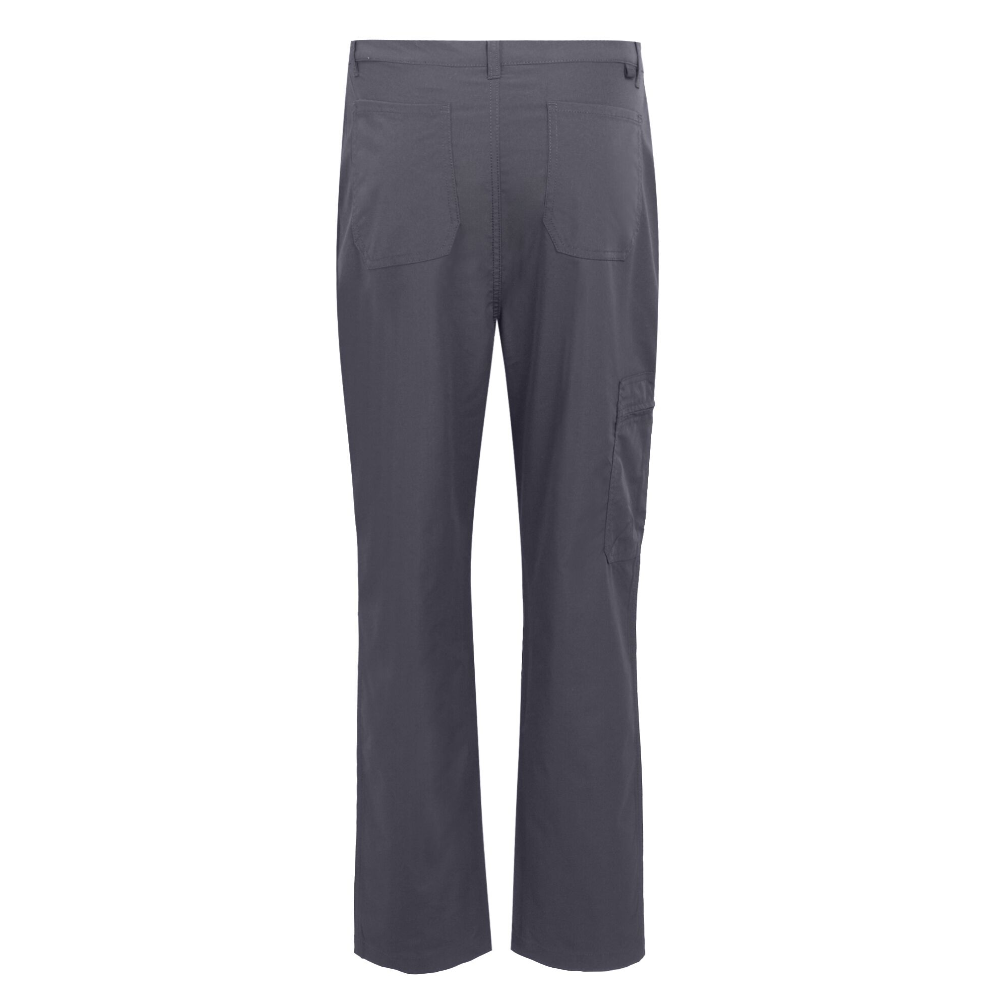 Regatta Męskie spodnie Dalry Multi Pocket Szary