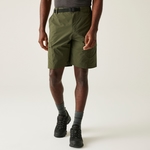 Dark Khaki