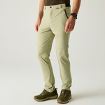 Light Sage Green
