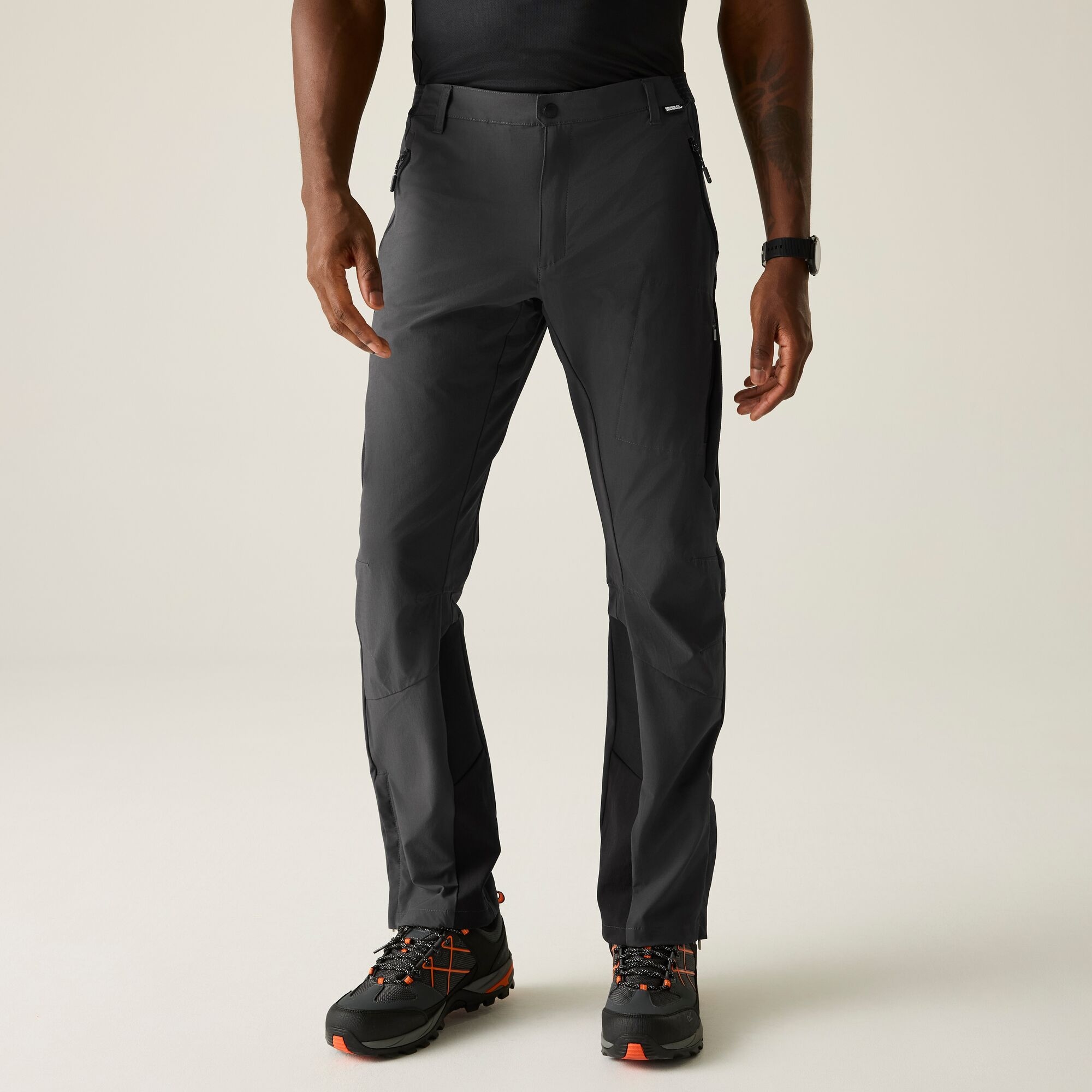 Regatta   Spodnie męskie trekkingowe Mountain Szary