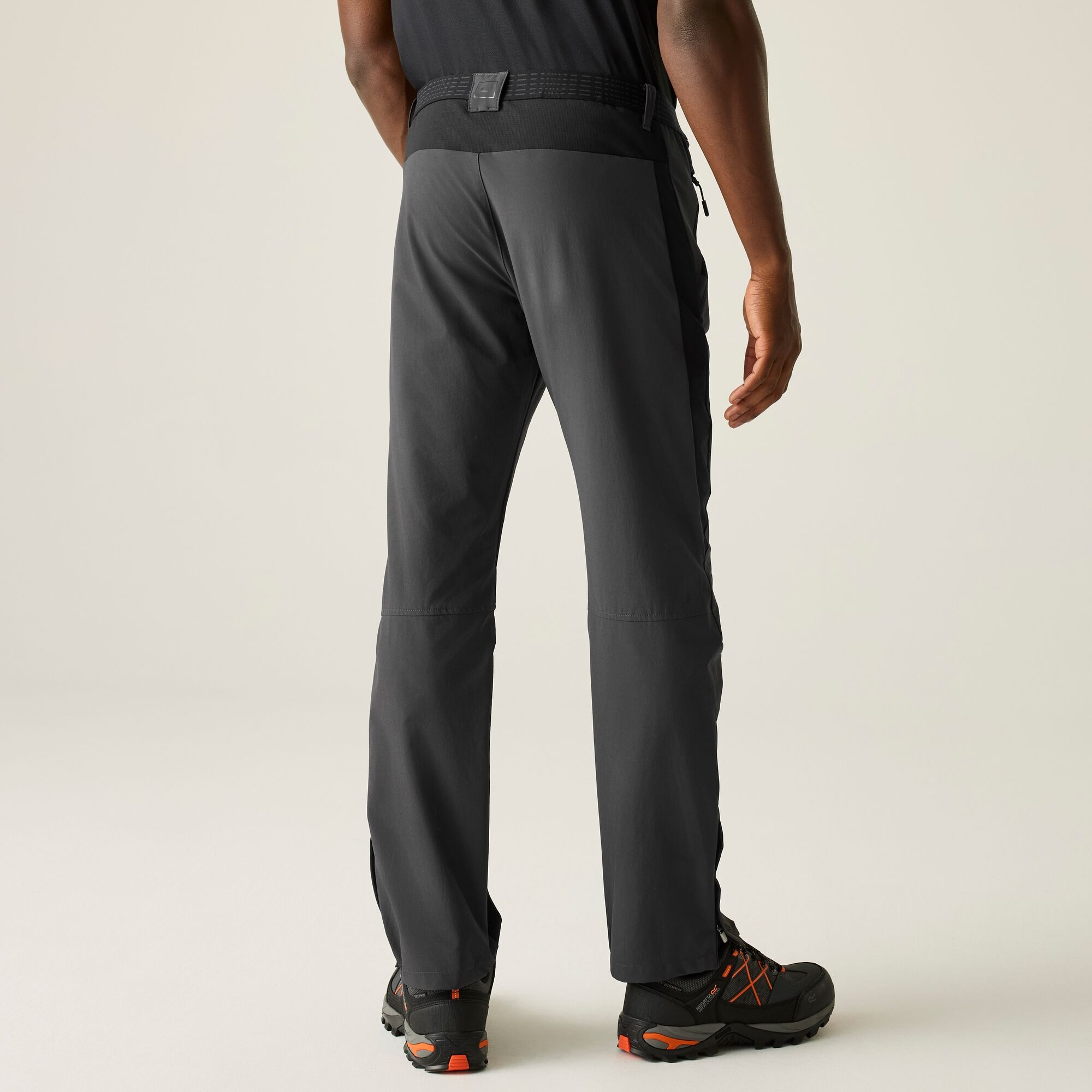 Regatta Regatta Spodnie męskie trekkingowe Mountain Szary