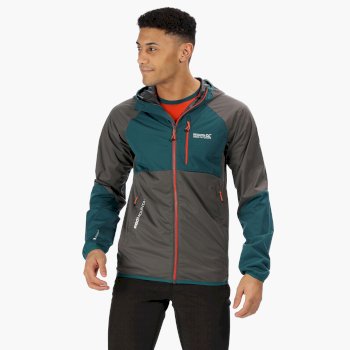 Tarvos II leichte Softshell-Herrenjacke mit Kapuze  Magnet Grey