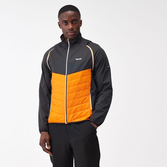 Steren Homme Veste hybride softshell Orange