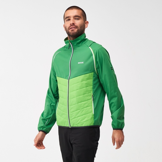 Men's Steren Hybrid Softshell Jacket Field Green Jasmine Green Ash