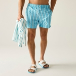 Nordic Blue White Stripe