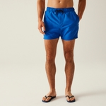 Olympian Blue Navy