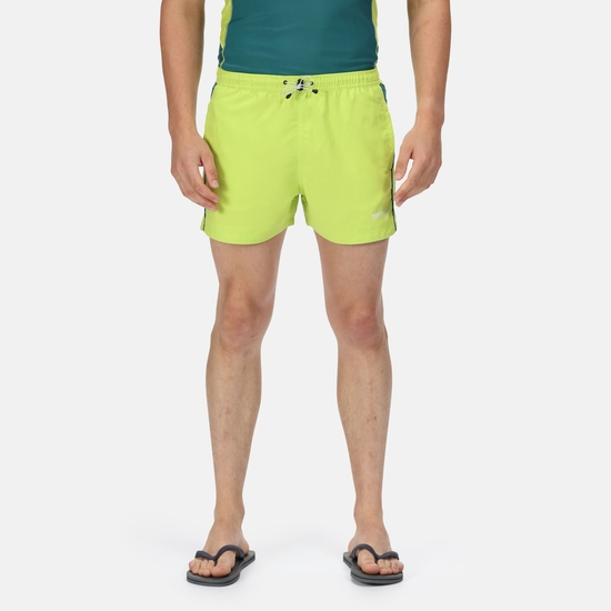 Men's Rehere Shorts Bright Kiwi Pacific Green