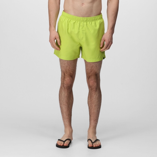Men's Wayde Swim Shorts Bright Kiwi