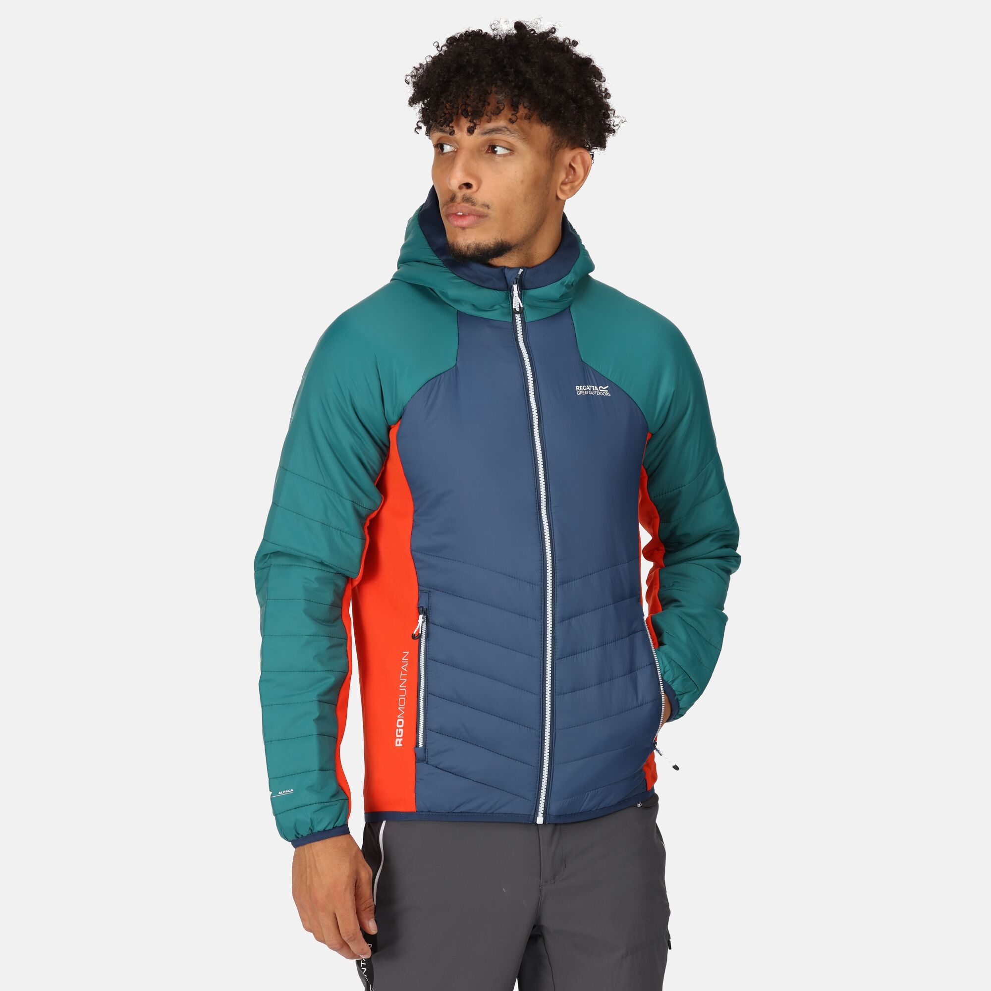 Regatta Męski Softshell z Kapturem Trutton Niebiesko-zielony, Rozmiar: 3XL