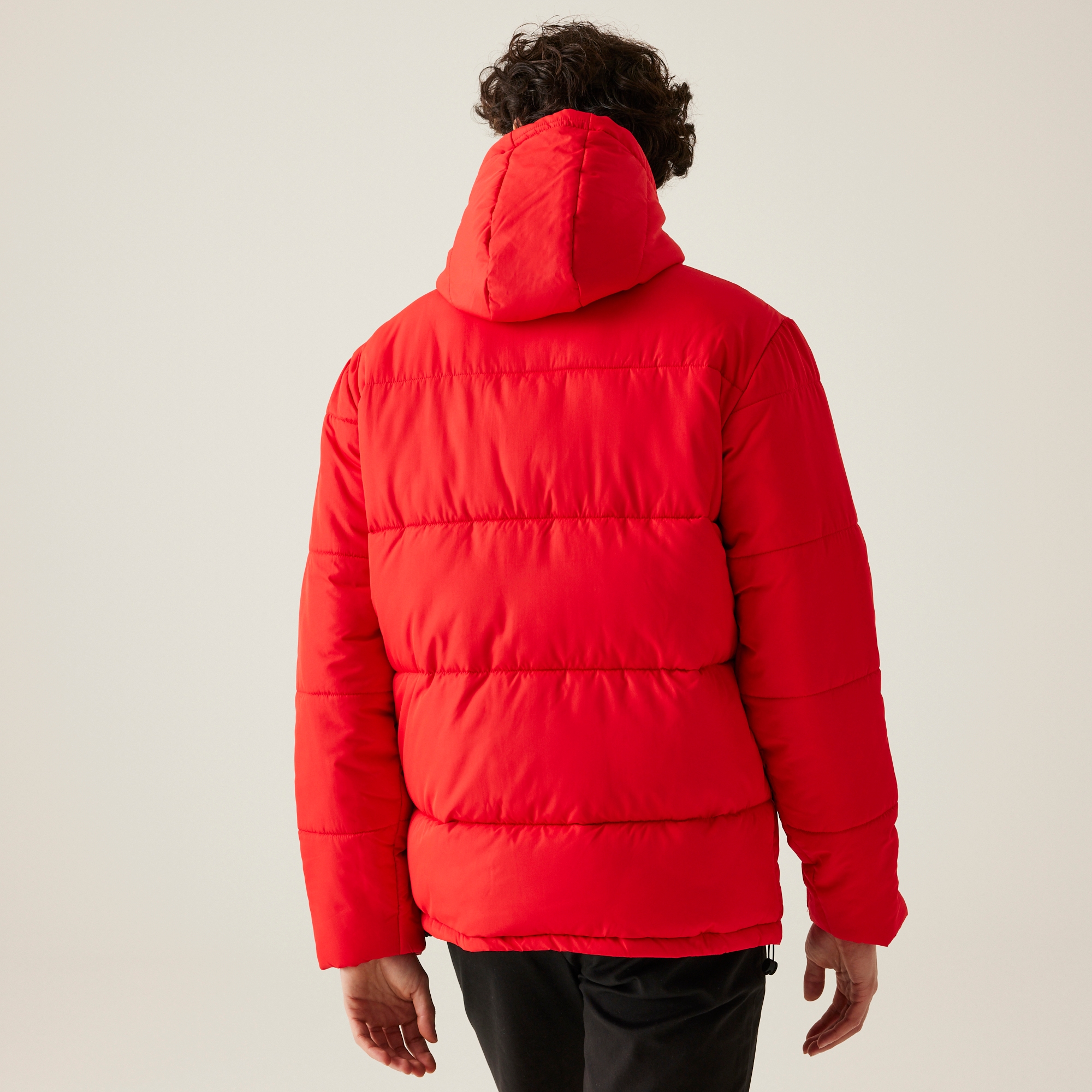 Regatta Męska kurtka zimowa pikowana Falkner Czerwony