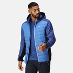 Strong Blue New Royal