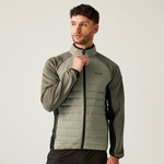 Golden Sand Treetop Black