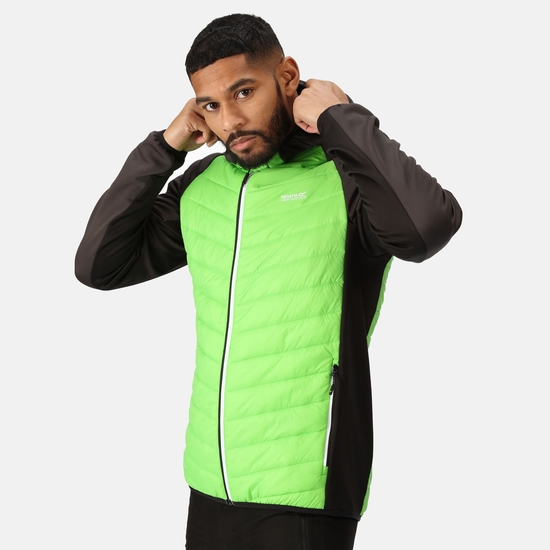 Andreson VIII Homme Veste légère hybride Vert