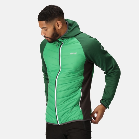 Andreson VIII Homme Veste légère hybride Vert