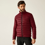 Dark Maroon
