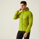 Grenoble Green