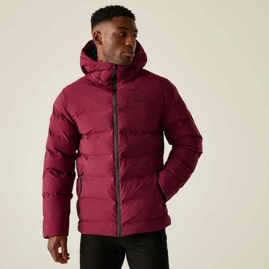 Men's Altoro Thermal Puffer Jacket Dark Maroon