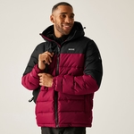 Dark Maroon