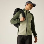 Light Sage Dark Khaki