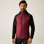Dark Maroon Black