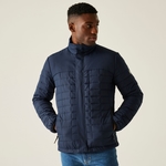 Navy Black 
