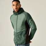 Dark Forest Green Black 