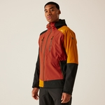 Red Ochre Black
