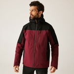 Dark Maroon Black