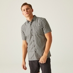 Agave Green Ash Mashmallow Check