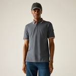 Storm Grey