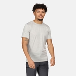 Silver Grey 