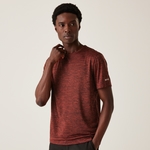 Red Ochre