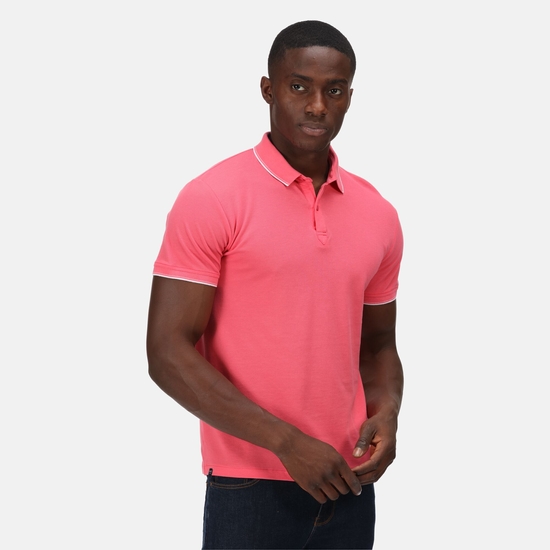 Men's Tadeo Polo Shirt Tropical Pink