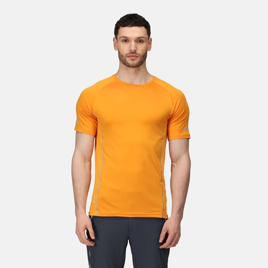 Highton Pro Homme T-shirt Orange
