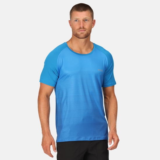 Pinmor Gradiant Homme T-shirt Bleu
